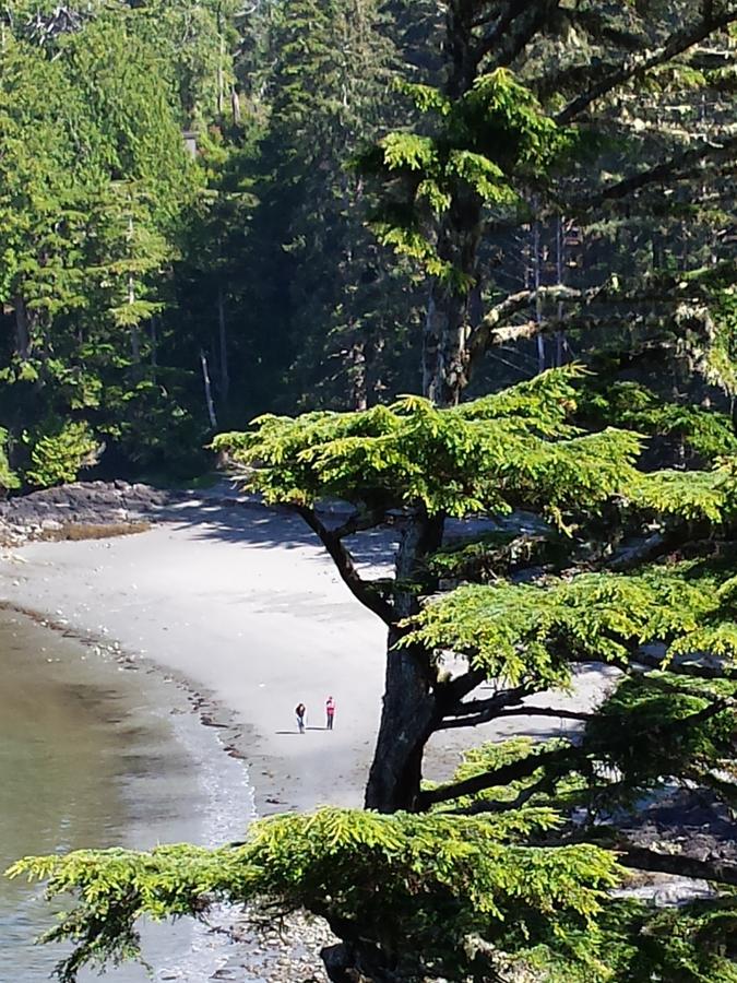 Odyssey Shores Guest Suite Ucluelet Exterior foto